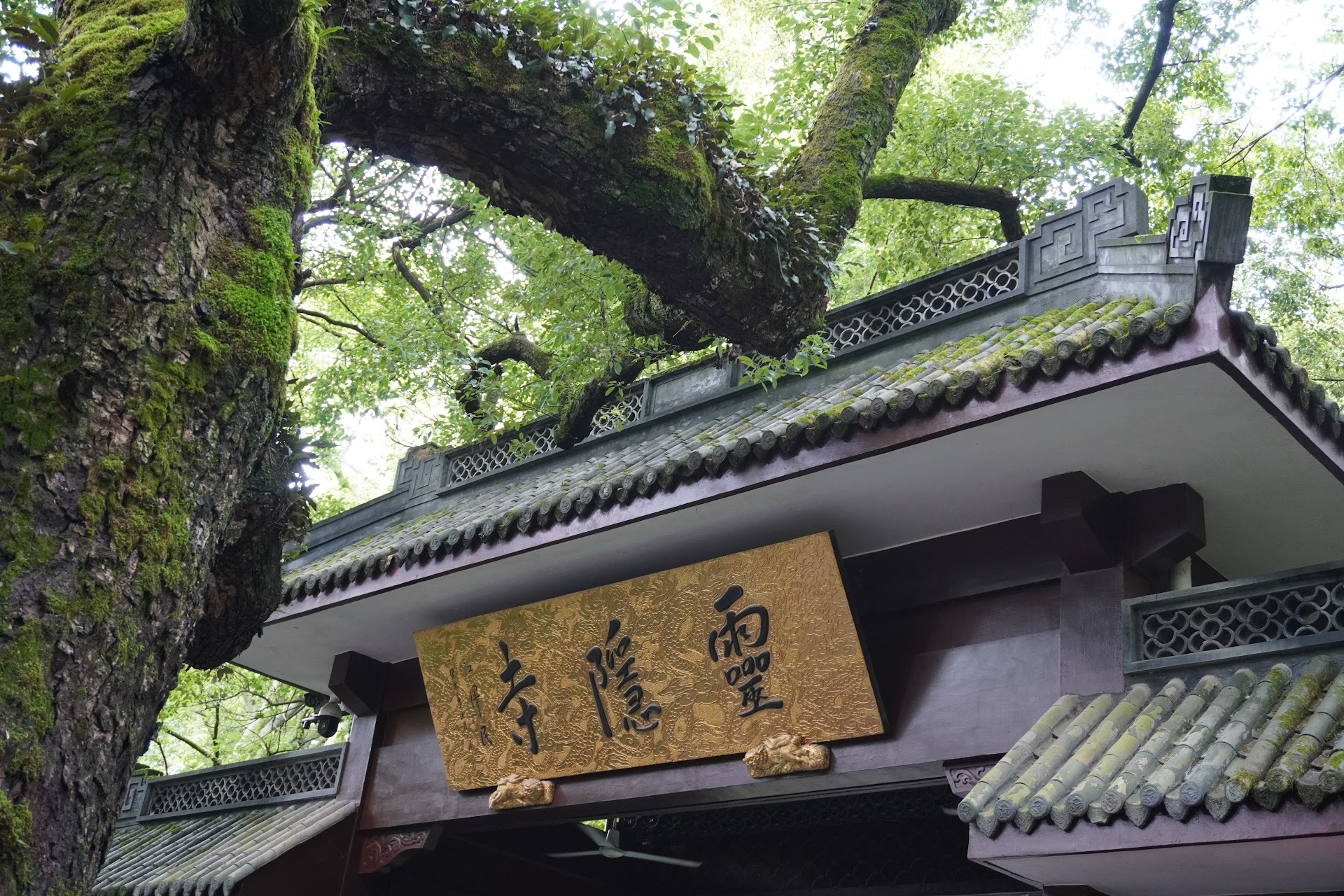 /travel-in-jiangzhehu-hangzhou/featured-image.webp /travel-in-jiangzhehu-hangzhou/featured-image.webp